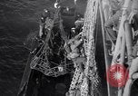 Image of American soldier reinforcements arriving in Normandy Normandy France, 1944, second 40 stock footage video 65675038221