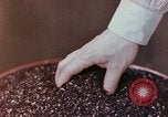 Image of production and packaging of vinyl phonograph records United States USA, 1956, second 23 stock footage video 65675038230