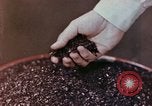 Image of production and packaging of vinyl phonograph records United States USA, 1956, second 24 stock footage video 65675038230
