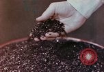 Image of production and packaging of vinyl phonograph records United States USA, 1956, second 25 stock footage video 65675038230