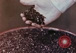 Image of production and packaging of vinyl phonograph records United States USA, 1956, second 26 stock footage video 65675038230