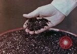 Image of production and packaging of vinyl phonograph records United States USA, 1956, second 28 stock footage video 65675038230