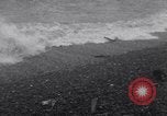 Standbild alliierte Soldat Normandie Frankreich, 1944, aus Sekunde 17 historischem Filmmaterial Videoclip 65675038235