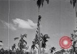 Standbild amerikanischer Soldat Leyte Philippinen, 1944, aus Sekunde 48 historischem Filmmaterial Videoclip 65675038237