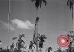 Standbild amerikanischer Soldat Leyte Philippinen, 1944, aus Sekunde 49 historischem Filmmaterial Videoclip 65675038237