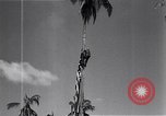 Standbild amerikanischer Soldat Leyte Philippinen, 1944, aus Sekunde 52 historischem Filmmaterial Videoclip 65675038237