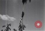 Standbild amerikanischer Soldat Leyte Philippinen, 1944, aus Sekunde 55 historischem Filmmaterial Videoclip 65675038237