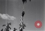Standbild amerikanischer Soldat Leyte Philippinen, 1944, aus Sekunde 57 historischem Filmmaterial Videoclip 65675038237