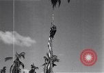 Standbild amerikanischer Soldat Leyte Philippinen, 1944, aus Sekunde 58 historischem Filmmaterial Videoclip 65675038237