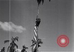 Standbild amerikanischer Soldat Leyte Philippinen, 1944, aus Sekunde 59 historischem Filmmaterial Videoclip 65675038237