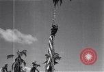 Standbild amerikanischer Soldat Leyte Philippinen, 1944, aus Sekunde 60 historischem Filmmaterial Videoclip 65675038237