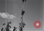 Standbild amerikanischer Soldat Leyte Philippinen, 1944, aus Sekunde 61 historischem Filmmaterial Videoclip 65675038237