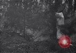 Image of American soldier Bougainville Island Papua New Guinea, 1944, second 61 stock footage video 65675038245