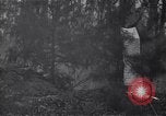 Image of American soldier Bougainville Island Papua New Guinea, 1944, second 62 stock footage video 65675038245