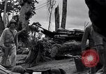 Image of General Duckle Bougainville Island Papua New Guinea, 1944, second 24 stock footage video 65675038246