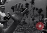 Image of General Duckle Bougainville Island Papua New Guinea, 1944, second 27 stock footage video 65675038246