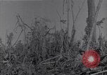 Image of American infantrymen Bougainville Island Papua New Guinea, 1944, second 9 stock footage video 65675038248