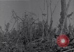 Image of American infantrymen Bougainville Island Papua New Guinea, 1944, second 10 stock footage video 65675038248