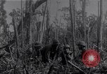Image of American infantrymen Bougainville Island Papua New Guinea, 1944, second 15 stock footage video 65675038248