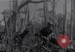 Image of American infantrymen Bougainville Island Papua New Guinea, 1944, second 19 stock footage video 65675038248