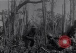 Image of American infantrymen Bougainville Island Papua New Guinea, 1944, second 20 stock footage video 65675038248