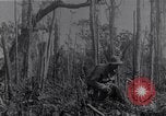Image of American infantrymen Bougainville Island Papua New Guinea, 1944, second 21 stock footage video 65675038248