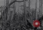 Image of American infantrymen Bougainville Island Papua New Guinea, 1944, second 22 stock footage video 65675038248