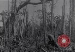 Image of American infantrymen Bougainville Island Papua New Guinea, 1944, second 23 stock footage video 65675038248