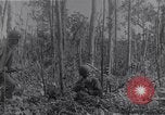 Image of American infantrymen Bougainville Island Papua New Guinea, 1944, second 25 stock footage video 65675038248