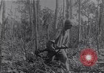 Image of American infantrymen Bougainville Island Papua New Guinea, 1944, second 27 stock footage video 65675038248