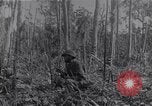 Image of American infantrymen Bougainville Island Papua New Guinea, 1944, second 30 stock footage video 65675038248
