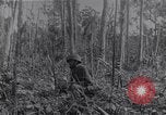 Image of American infantrymen Bougainville Island Papua New Guinea, 1944, second 31 stock footage video 65675038248