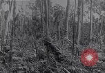 Image of American infantrymen Bougainville Island Papua New Guinea, 1944, second 32 stock footage video 65675038248