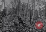 Image of American infantrymen Bougainville Island Papua New Guinea, 1944, second 33 stock footage video 65675038248
