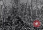 Image of American infantrymen Bougainville Island Papua New Guinea, 1944, second 36 stock footage video 65675038248