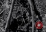 Image of American infantrymen Bougainville Island Papua New Guinea, 1944, second 37 stock footage video 65675038248