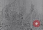 Image of American infantrymen Bougainville Island Papua New Guinea, 1944, second 38 stock footage video 65675038248