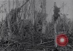 Image of American infantrymen Bougainville Island Papua New Guinea, 1944, second 39 stock footage video 65675038248