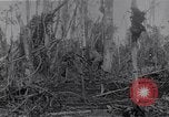 Image of American infantrymen Bougainville Island Papua New Guinea, 1944, second 40 stock footage video 65675038248