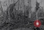 Image of American infantrymen Bougainville Island Papua New Guinea, 1944, second 41 stock footage video 65675038248