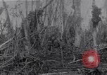 Image of American infantrymen Bougainville Island Papua New Guinea, 1944, second 42 stock footage video 65675038248