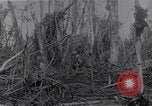 Image of American infantrymen Bougainville Island Papua New Guinea, 1944, second 43 stock footage video 65675038248