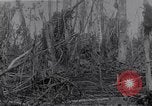 Image of American infantrymen Bougainville Island Papua New Guinea, 1944, second 44 stock footage video 65675038248