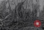 Image of American infantrymen Bougainville Island Papua New Guinea, 1944, second 45 stock footage video 65675038248