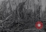 Image of American infantrymen Bougainville Island Papua New Guinea, 1944, second 46 stock footage video 65675038248