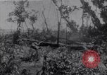 Standbild amerikanischen Infanteristen Bougainville Island Papua Neu Guinea, 1944, aus Sekunde 10 historischem Filmmaterial Videoclip 65675038249