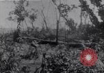 Standbild amerikanischen Infanteristen Bougainville Island Papua Neu Guinea, 1944, aus Sekunde 11 historischem Filmmaterial Videoclip 65675038249