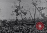 Standbild amerikanischen Infanteristen Bougainville Island Papua Neu Guinea, 1944, aus Sekunde 20 historischem Filmmaterial Videoclip 65675038249
