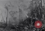 Standbild amerikanischen Infanteristen Bougainville Island Papua Neu Guinea, 1944, aus Sekunde 37 historischem Filmmaterial Videoclip 65675038249