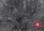 Standbild amerikanischen Infanteristen Bougainville Island Papua Neu Guinea, 1944, aus Sekunde 39 historischem Filmmaterial Videoclip 65675038249